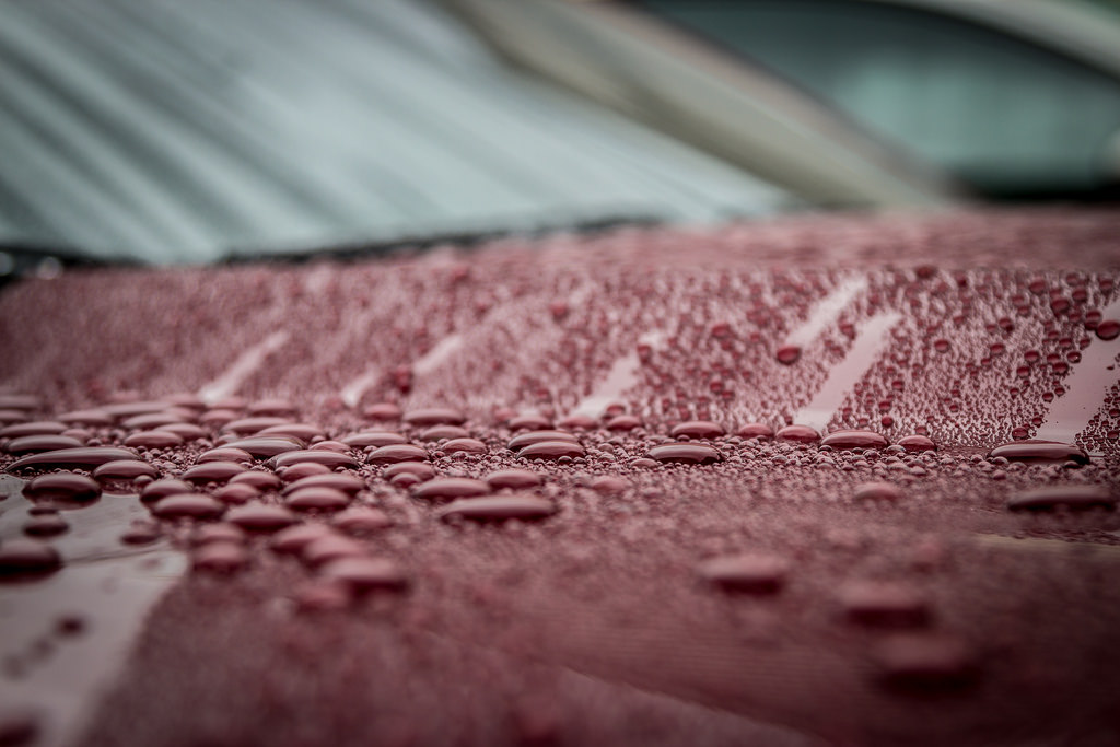 Mustang Beads Ford Mustang Ceramic Coating Auto Body Shop Northbrook